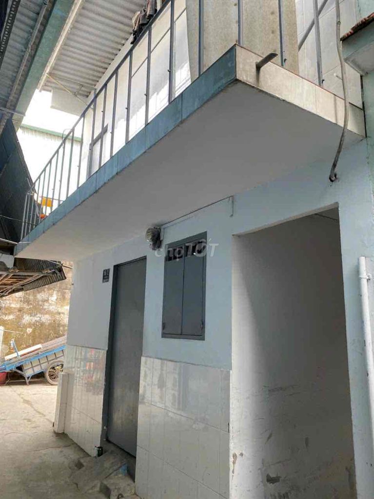 4323837 ảnh đại diện 2