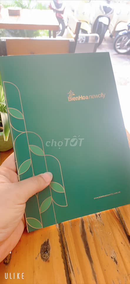 4325028 ảnh đại diện 2