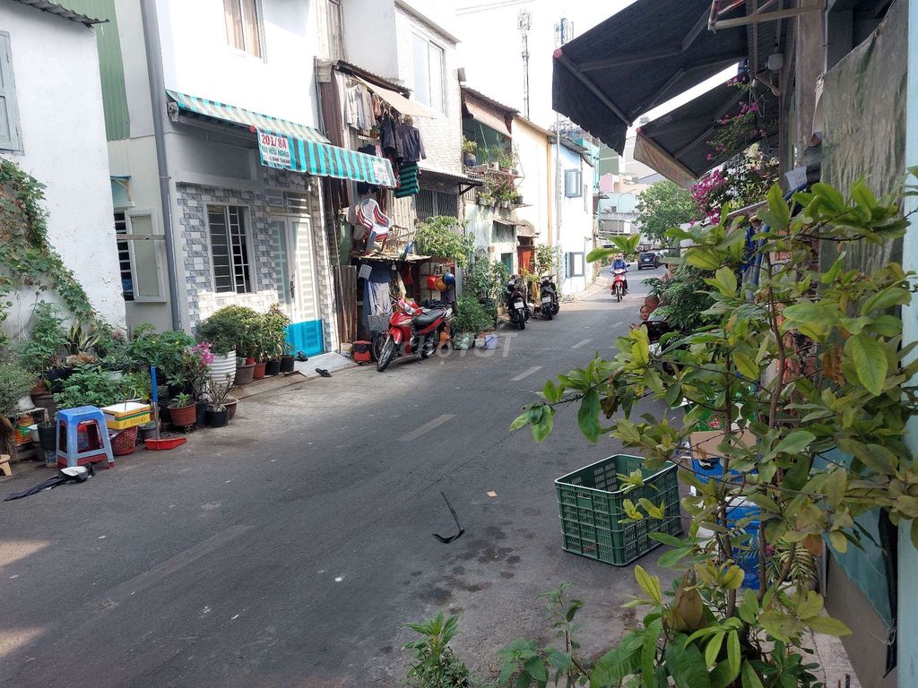 4327192 ảnh đại diện 1