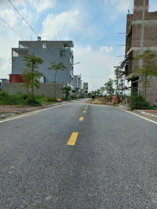 4323208 ảnh đại diện 1