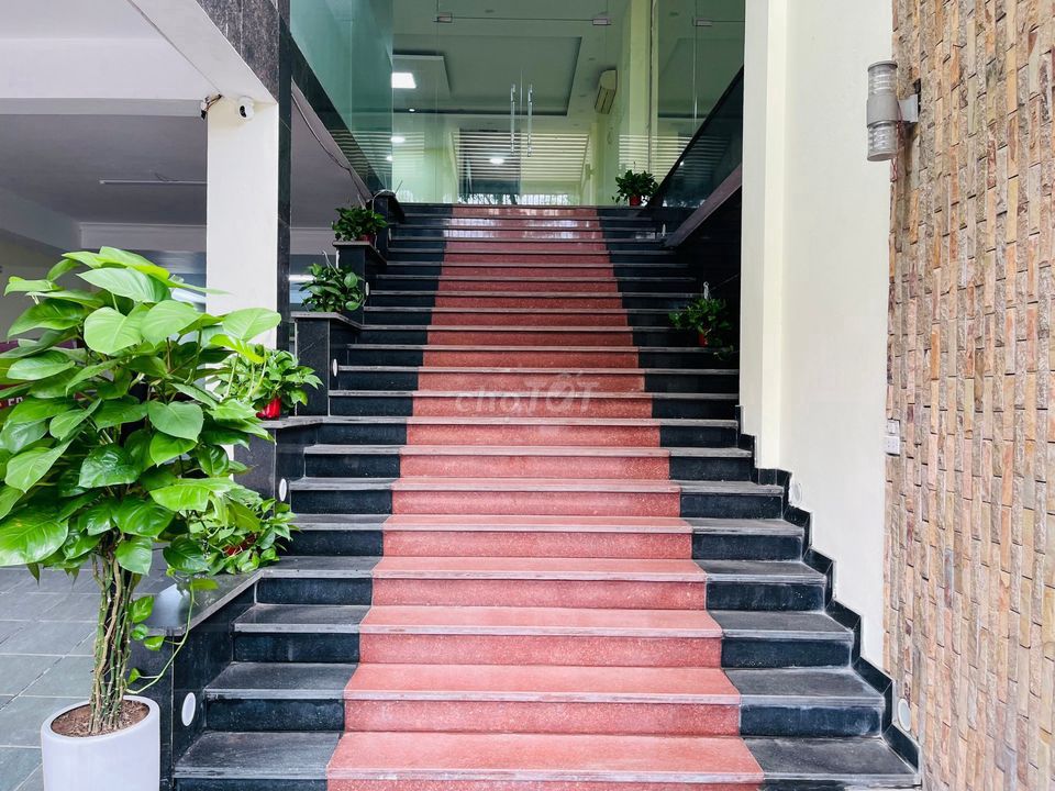 4327337 ảnh đại diện 2