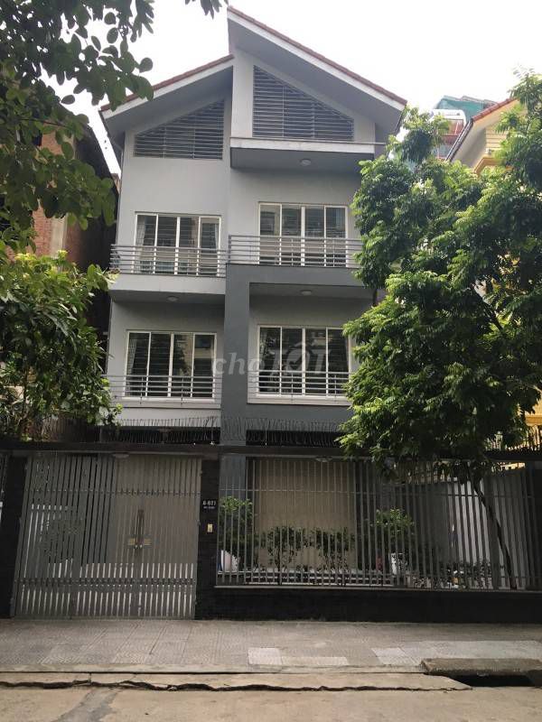 4325098 ảnh đại diện 1