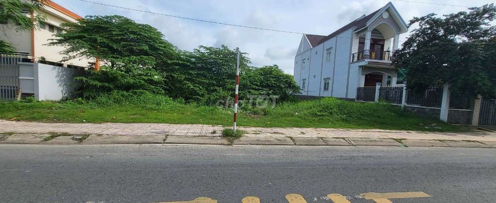 4325800 ảnh đại diện 1