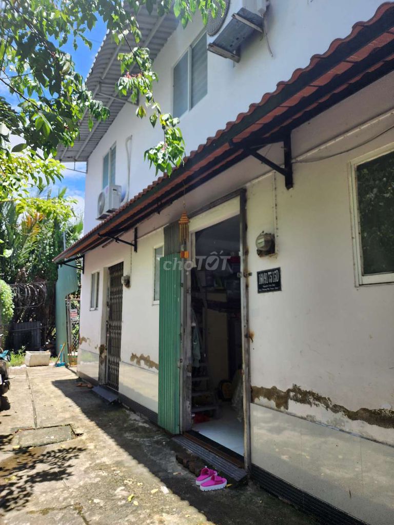 4323156 ảnh đại diện 1