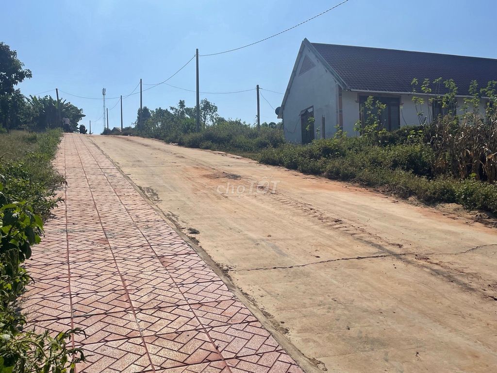 4323730 ảnh đại diện 1