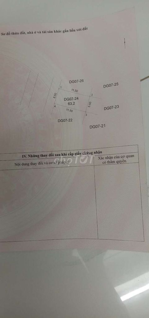 4326846 ảnh đại diện 1