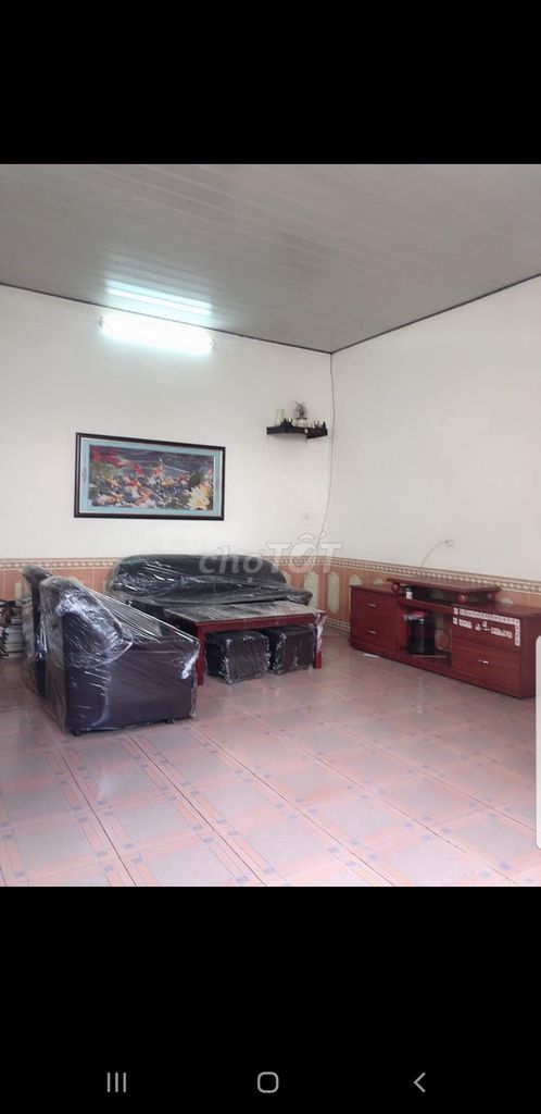 4324041 ảnh đại diện 1