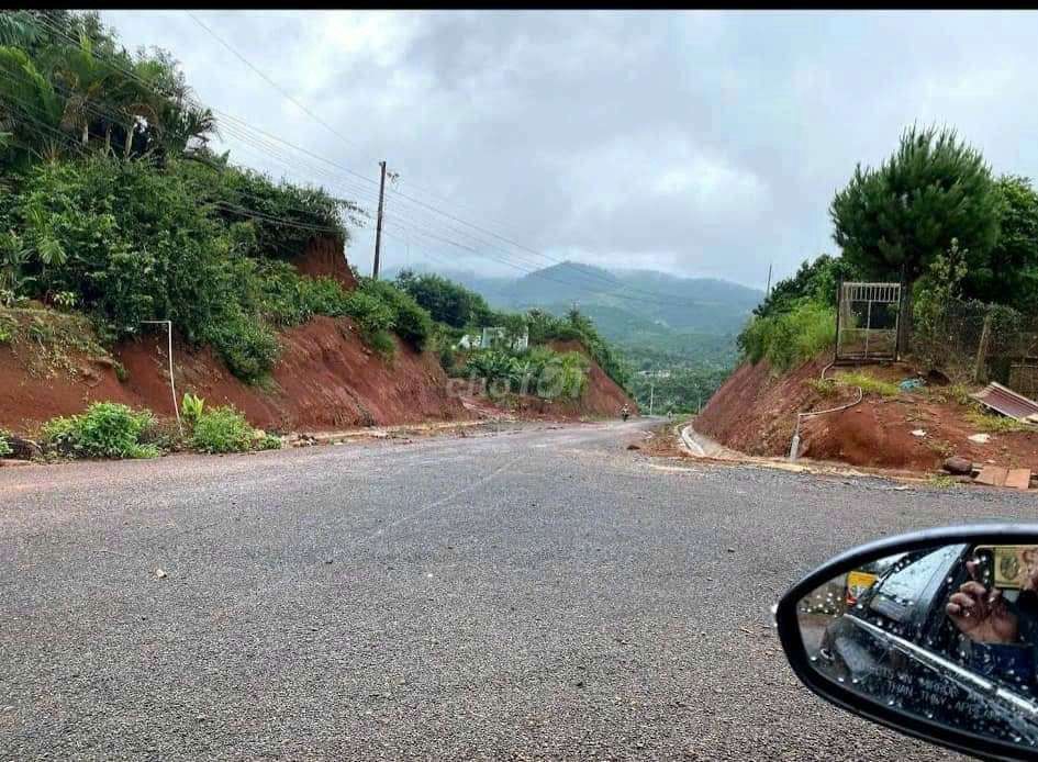 4326170 ảnh đại diện 1