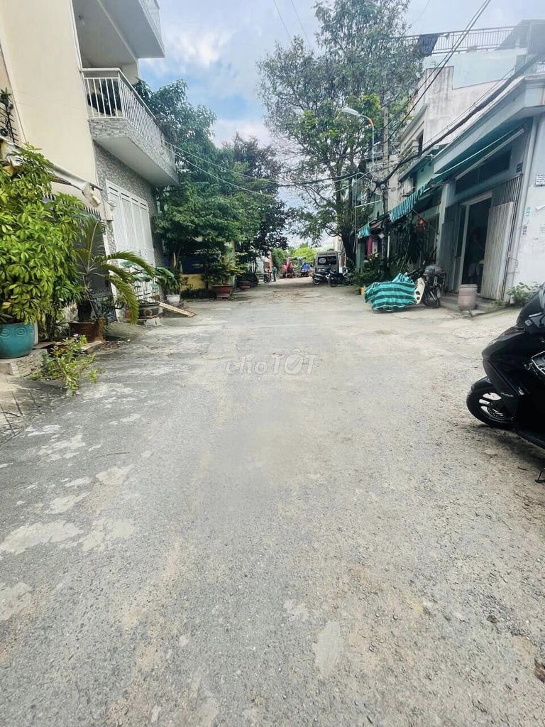 4325620 ảnh đại diện 1