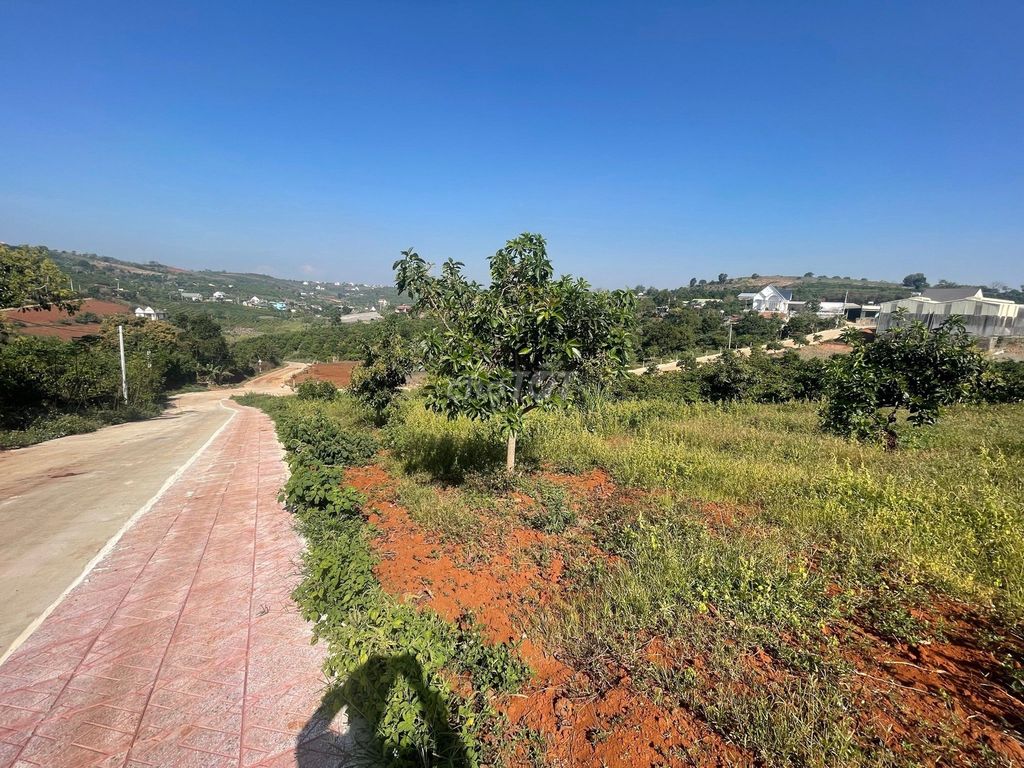 4323730 ảnh đại diện 2