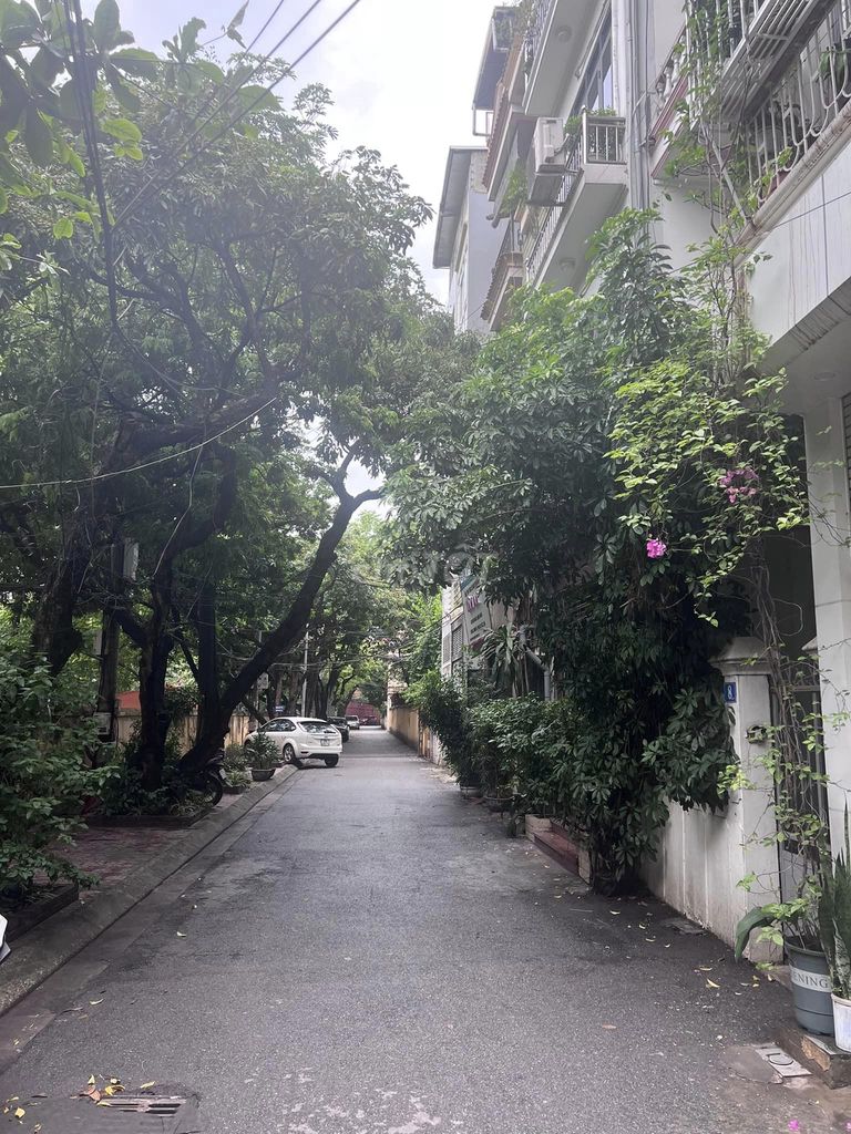 4326962 ảnh đại diện 1