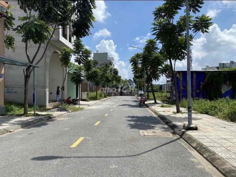 4324297 ảnh đại diện 1