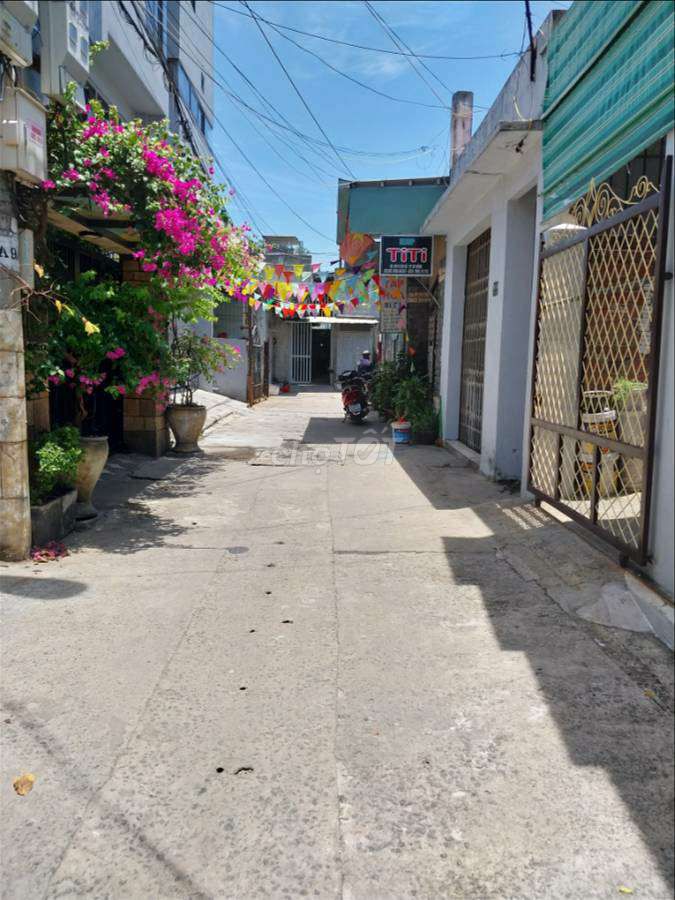 4323760 ảnh đại diện 2