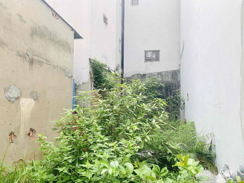 4326319 ảnh đại diện 2
