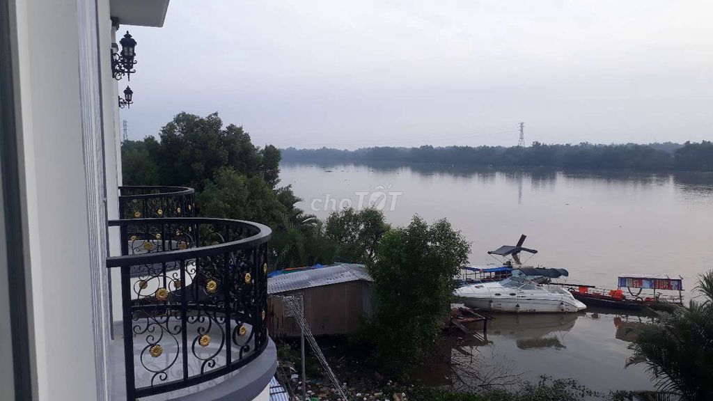 4326651 ảnh đại diện 1
