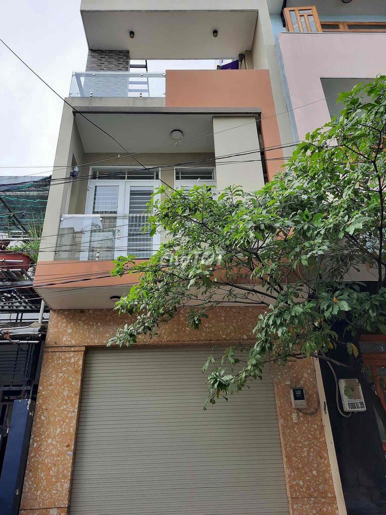 4323475 ảnh đại diện 1