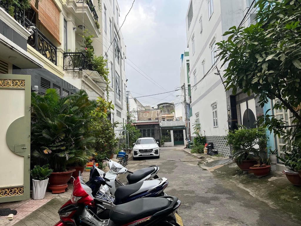 4325649 ảnh đại diện 2