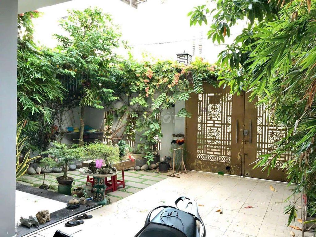 4323482 ảnh đại diện 2