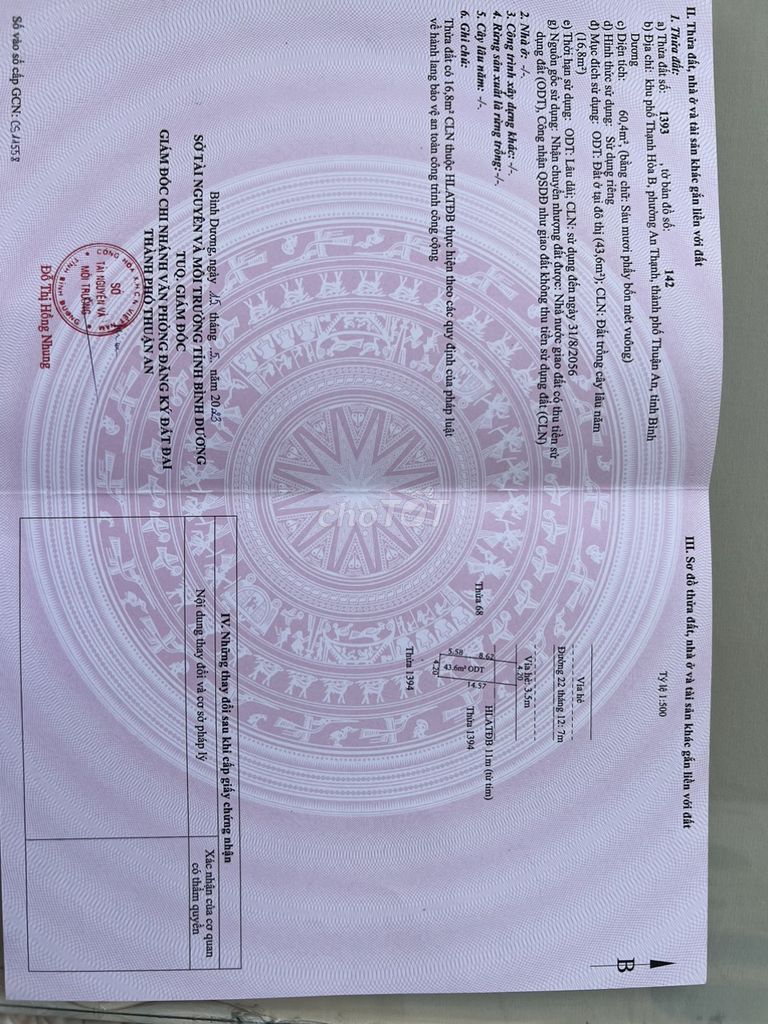 4325503 ảnh đại diện 2