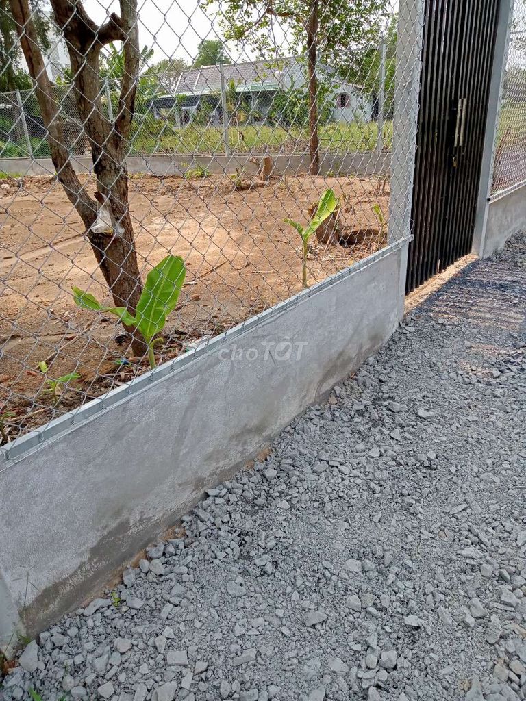4323176 ảnh đại diện 1