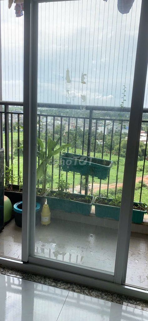 4323955 ảnh đại diện 1