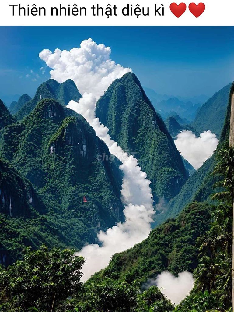 4323323 ảnh đại diện 1