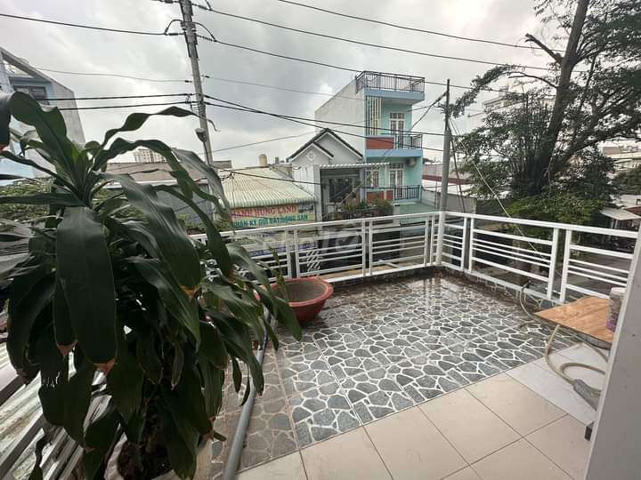 4327332 ảnh đại diện 2