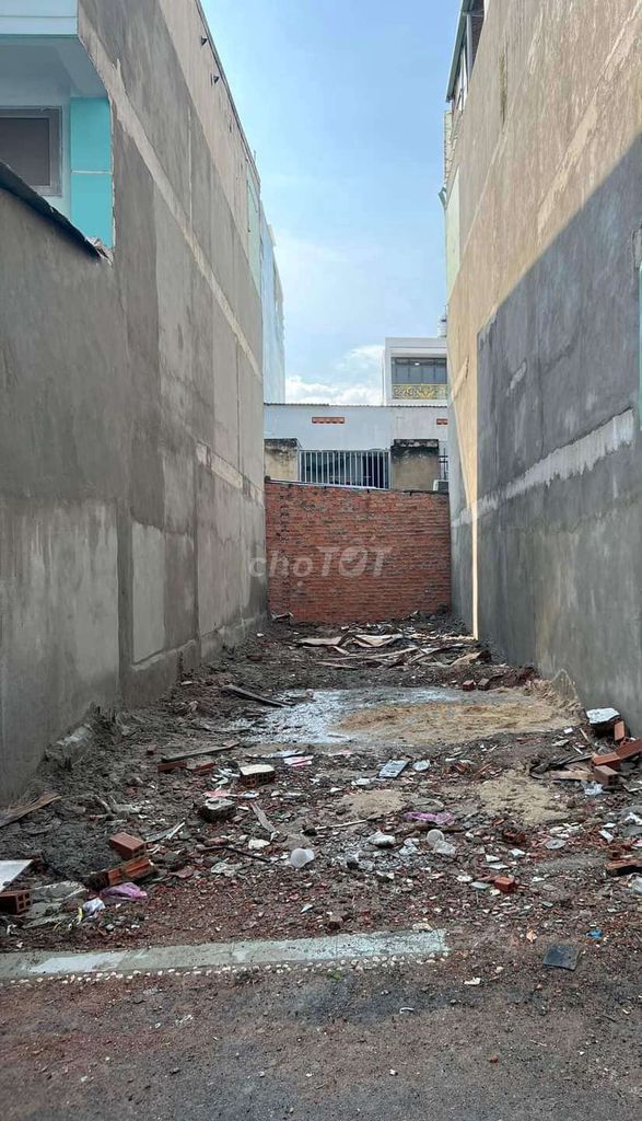 4323498 ảnh đại diện 2