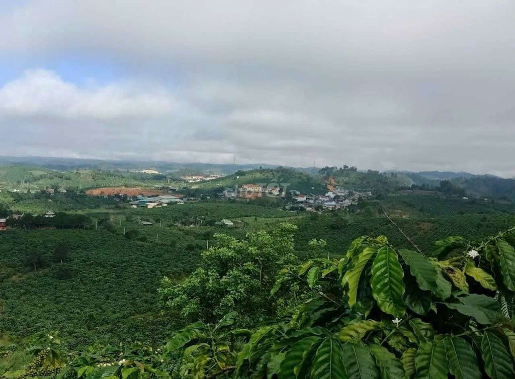 4326170 ảnh đại diện 2