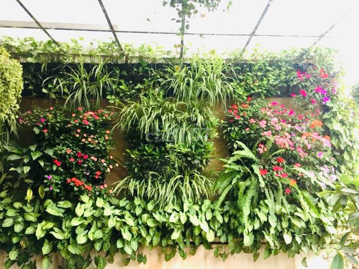 4324367 ảnh đại diện 2