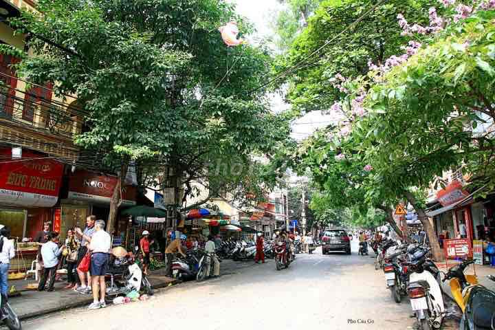 4324341 ảnh đại diện 1