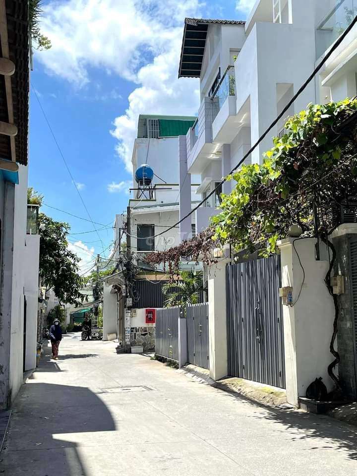 4323377 ảnh đại diện 1