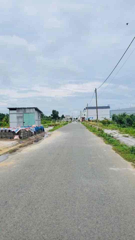 4325537 ảnh đại diện 1