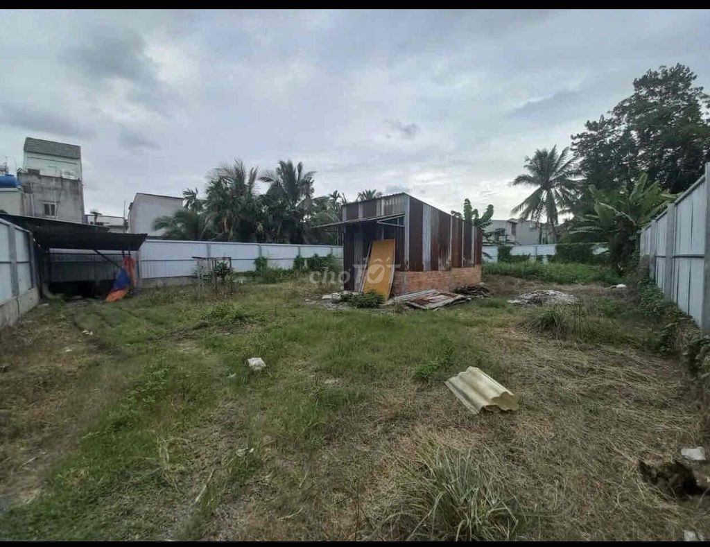 4323166 ảnh đại diện 1