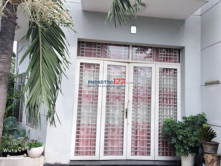 4325263 ảnh đại diện 1