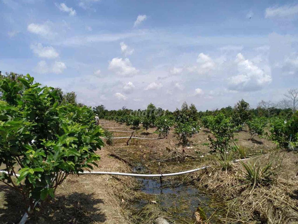 4326143 ảnh đại diện 1