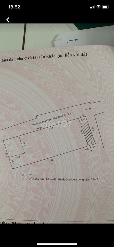4324041 ảnh đại diện 1