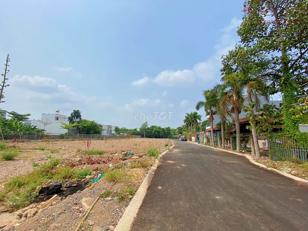 4325153 ảnh đại diện 1