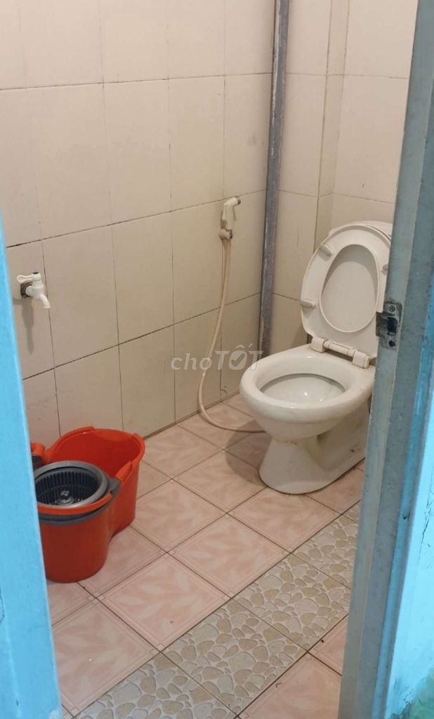 4326733 ảnh đại diện 2