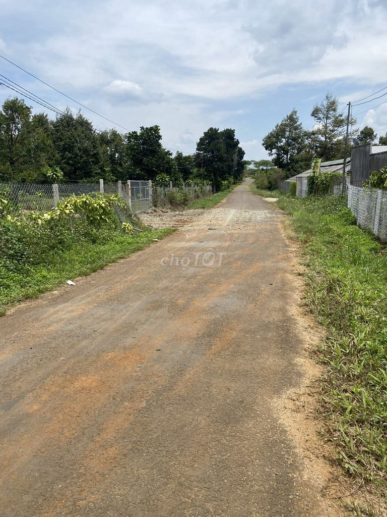 4323868 ảnh đại diện 1