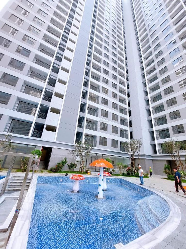 4325293 ảnh đại diện 1