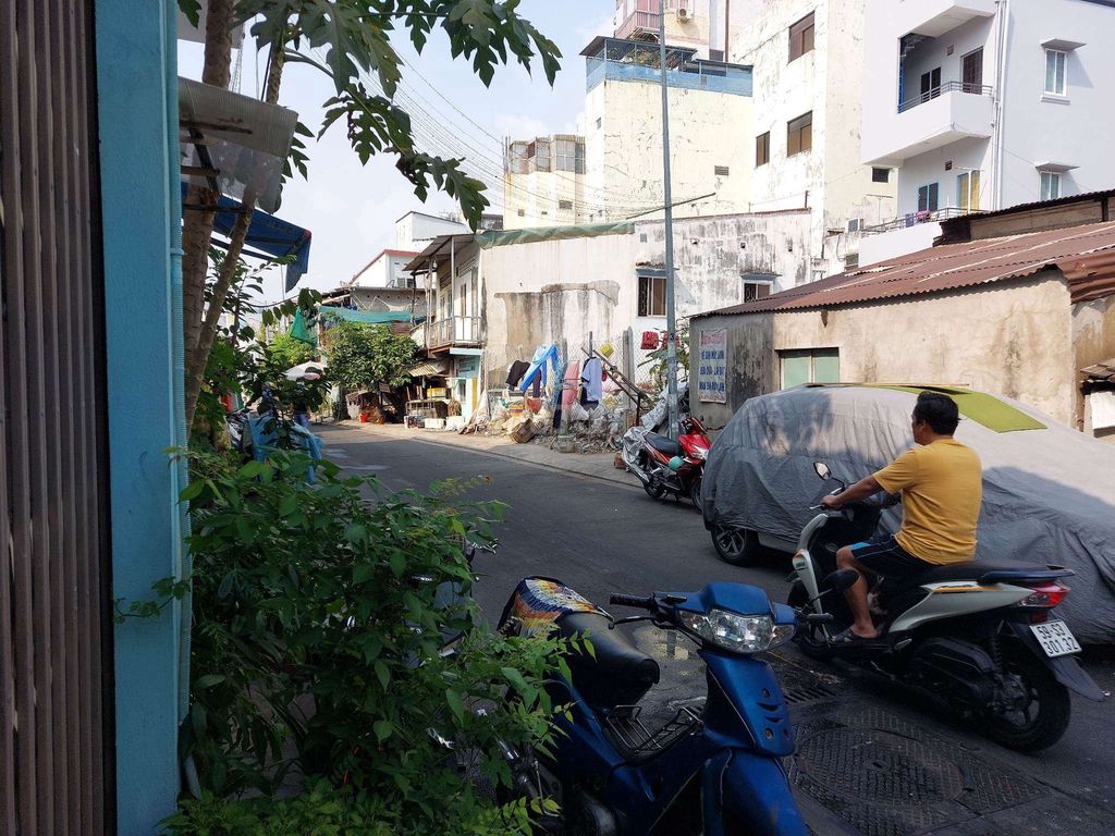 4327192 ảnh đại diện 2