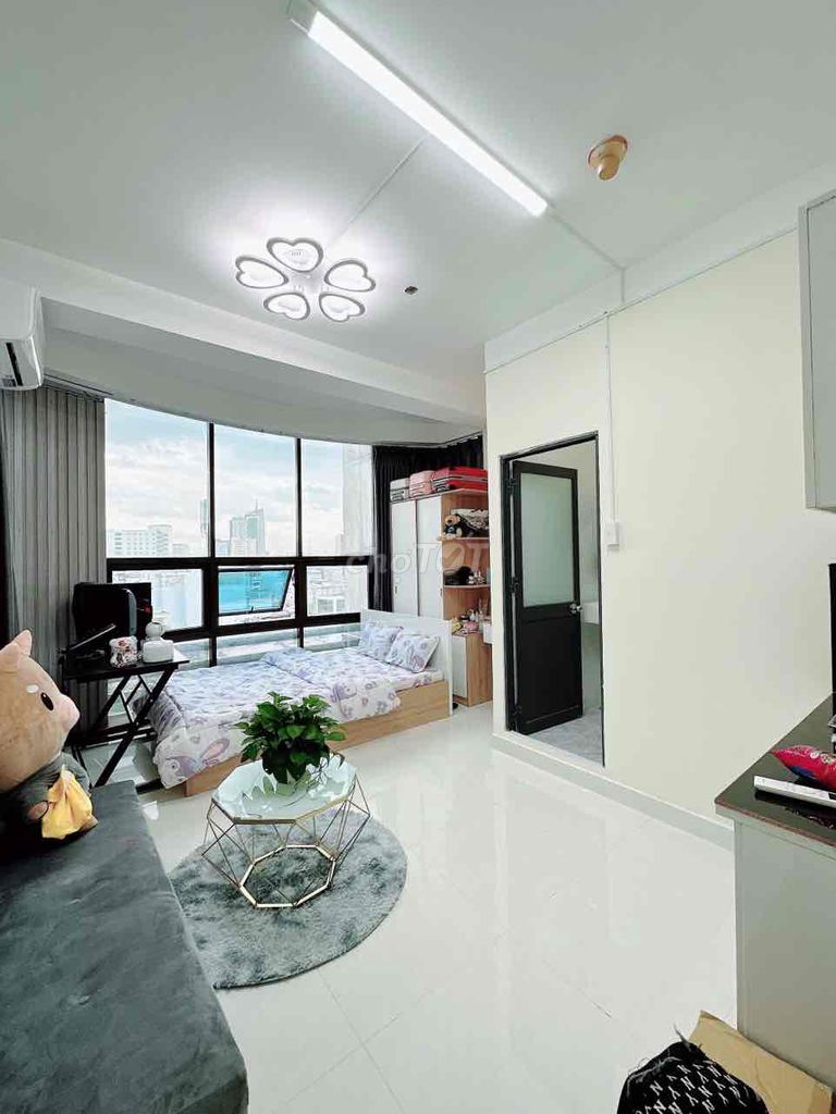 4326837 ảnh đại diện 2