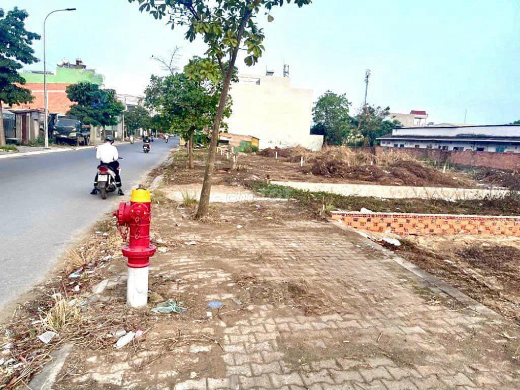 4323503 ảnh đại diện 1
