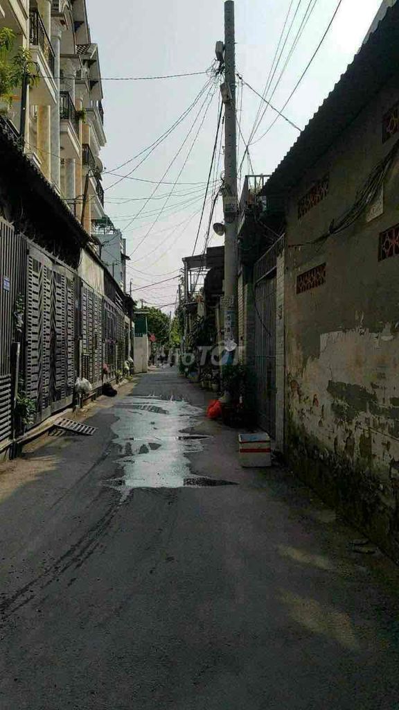4327323 ảnh đại diện 2