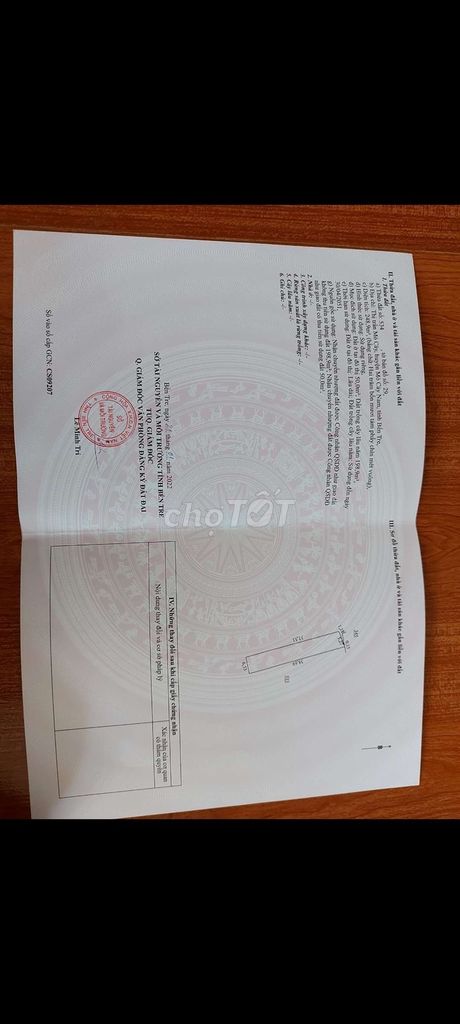 4324586 ảnh đại diện 1