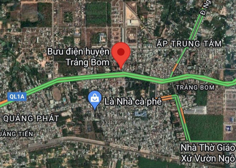 4323503 ảnh đại diện 2