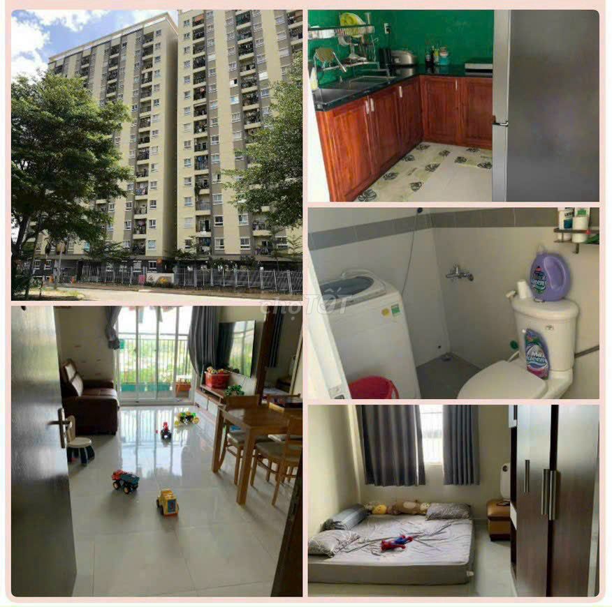 4323955 ảnh đại diện 2