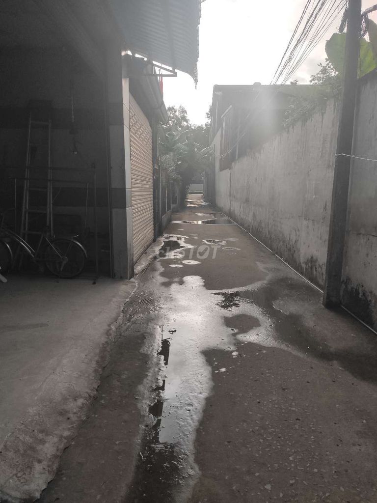 4326574 ảnh đại diện 1
