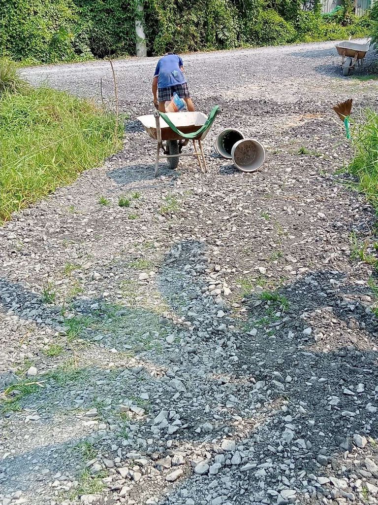 4323176 ảnh đại diện 2